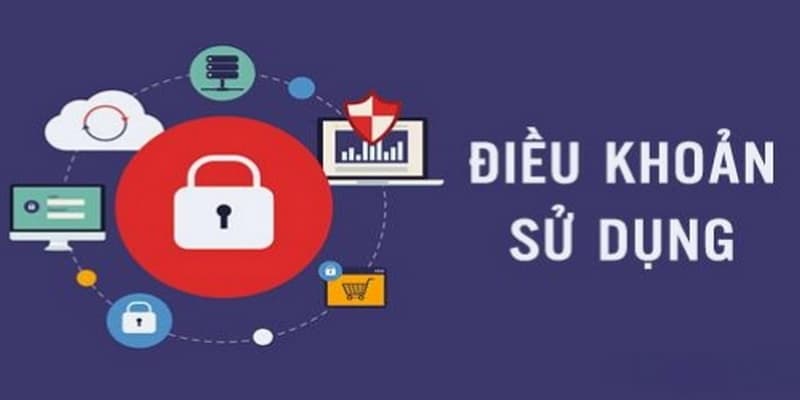 Tổng quan về điều khoản sử dụng 8xbet